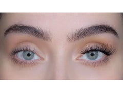 SWEED Gabbi Lashes