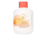 HoliFrog Sunapee Sacred Vitamin C Powder Wash
