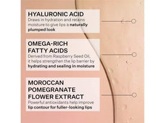 StriVectin Hyaluronic Omega Moisture Lip Mask