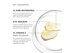 SkinCeuticals Resveratrol B E Antioxidant Night Concentrate Treatment